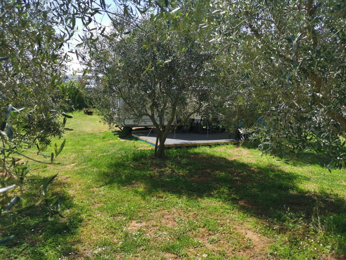 Large Camper In The Olive Grove Hotel Banjole Exterior foto