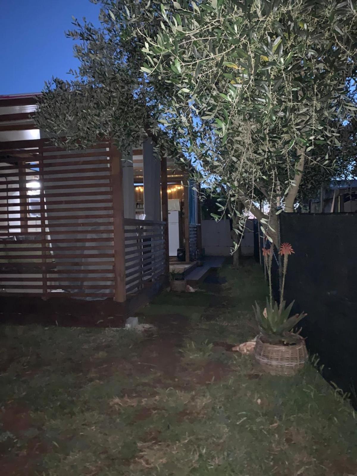 Large Camper In The Olive Grove Hotel Banjole Exterior foto